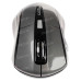 Мышь беспроводная DEXP WM-304GU серый