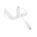 Сетевое зарядное устройство DEXP MyHome 10W i8